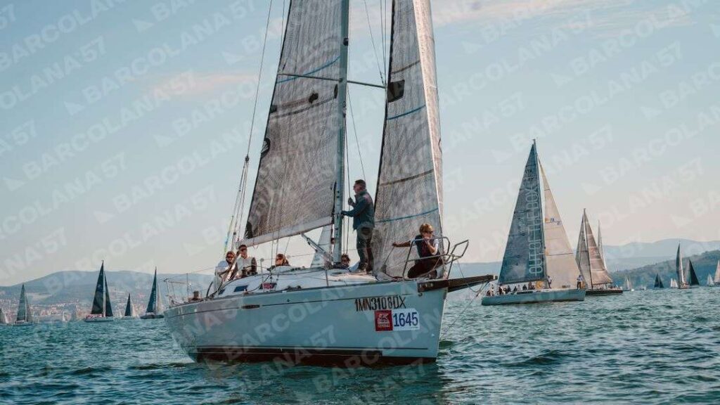 Mascone n° 1645