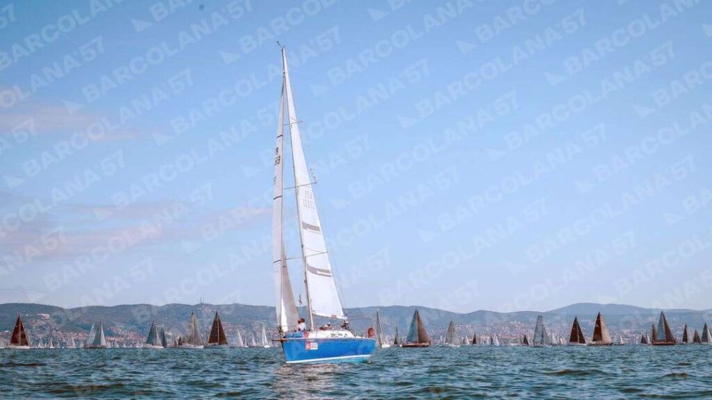 Mascone n° 1653