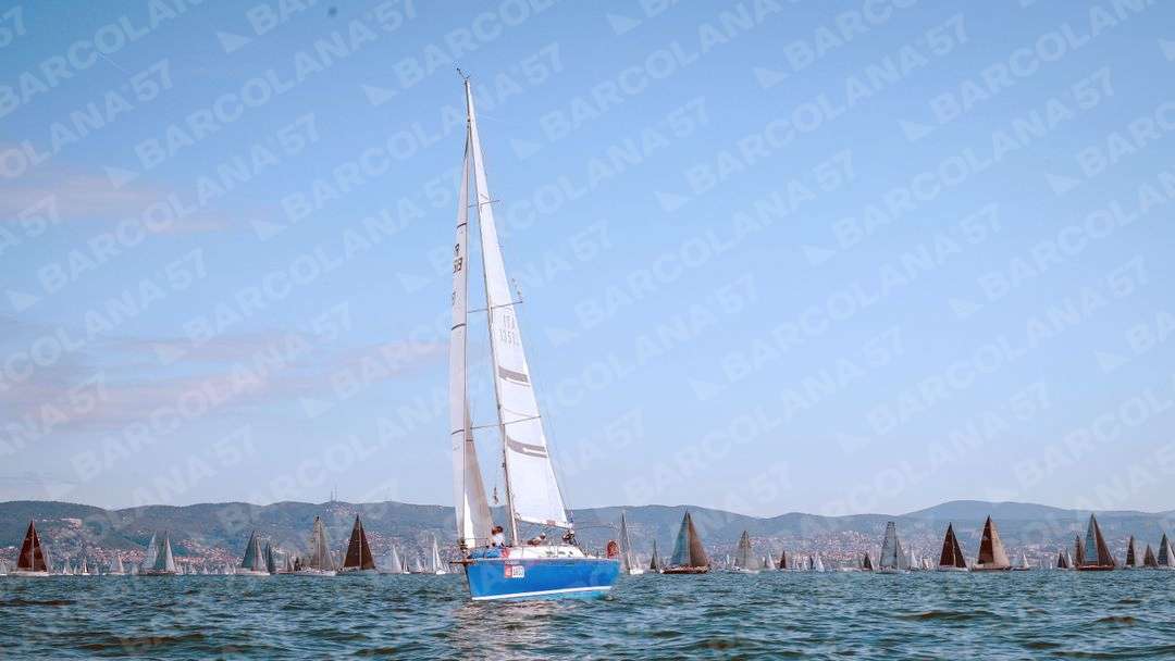 Mascone n° 1653