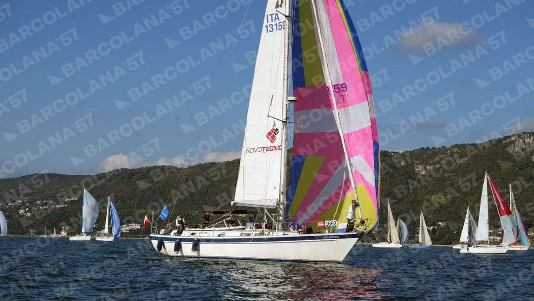 Mascone n° 1693, 1511 - immagine 1