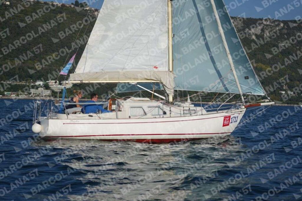 Mascone n° 1711