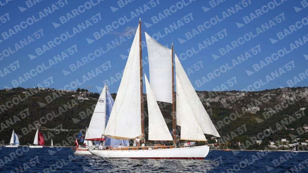 Mascone n° 1739