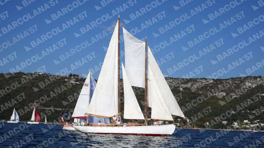 Mascone n° 1739