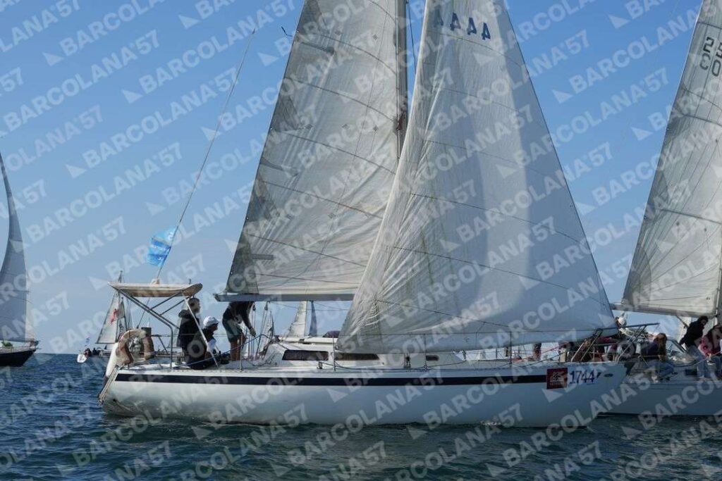 Mascone n° 1744