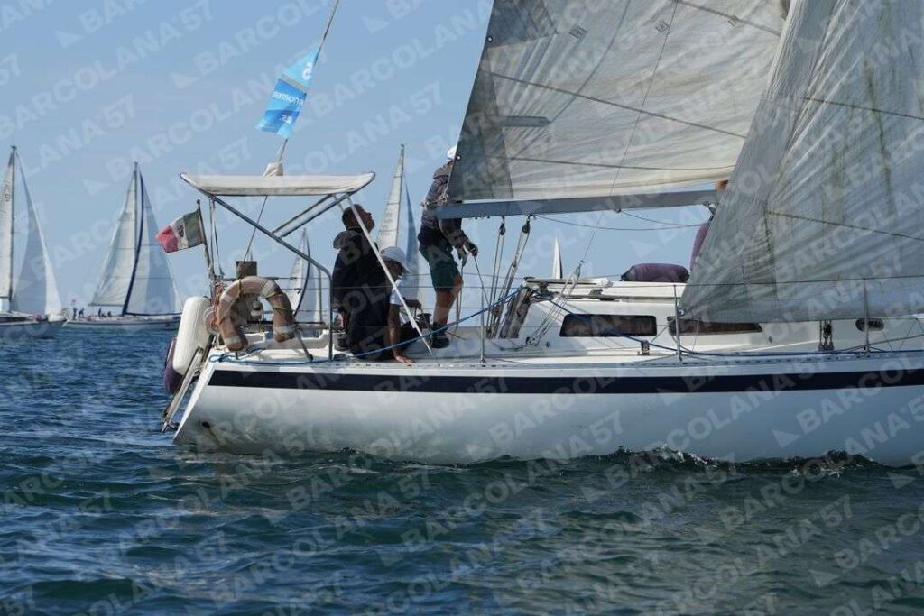 Mascone n° 1744