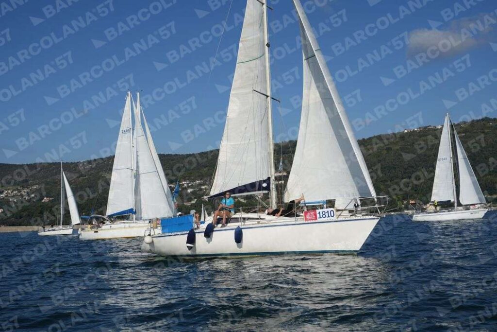Mascone n° 1810