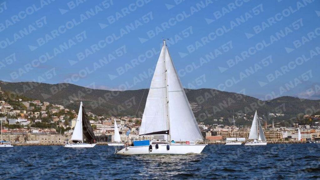 Mascone n° 1810