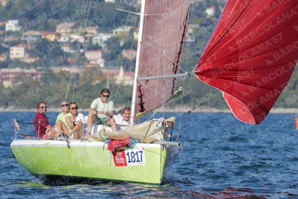 Mascone n° 1817