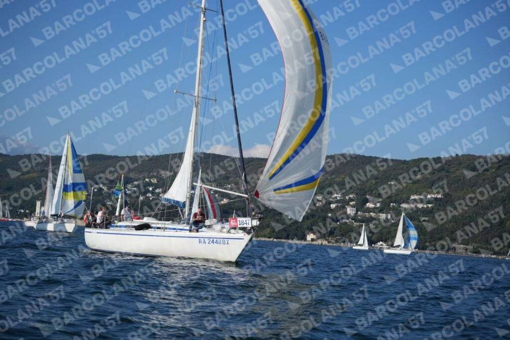 Mascone n° 1847