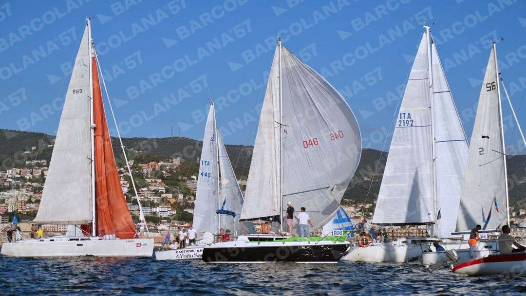 Mascone n° 1866, 1290 - immagine 1