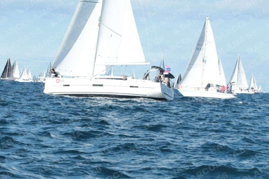 Mascone n° 1770, 1483