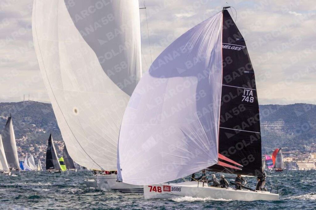 Mascone n° 1686