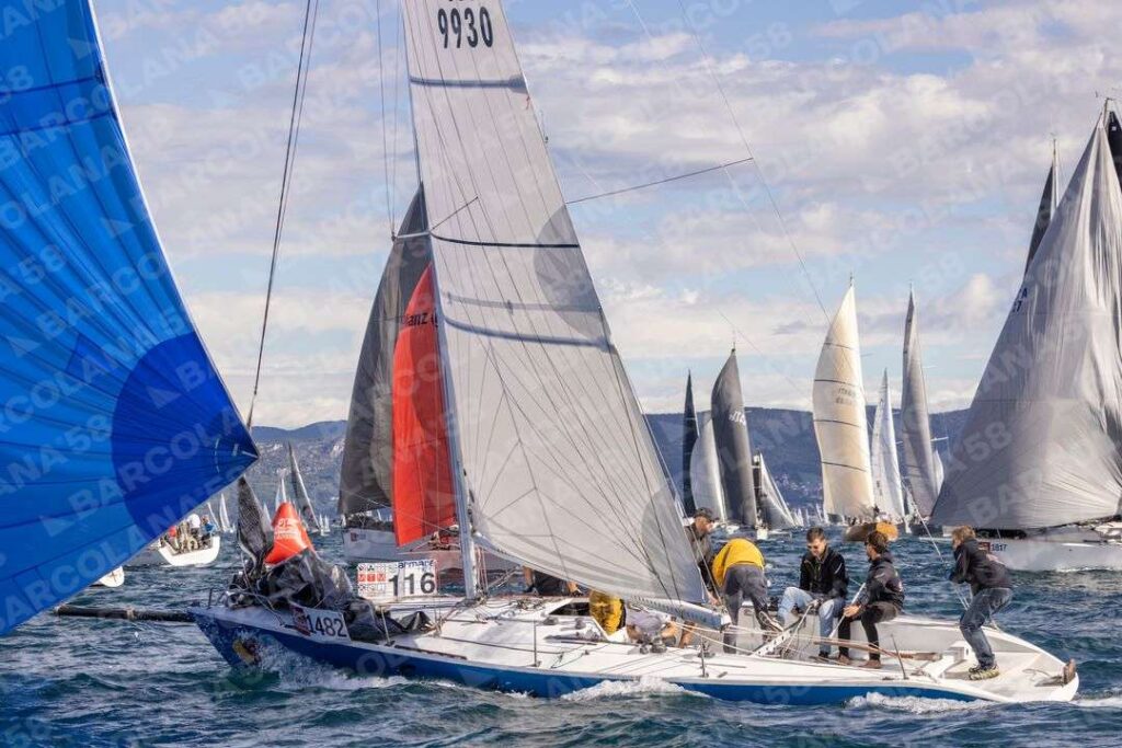 Mascone n° 1817, 1482