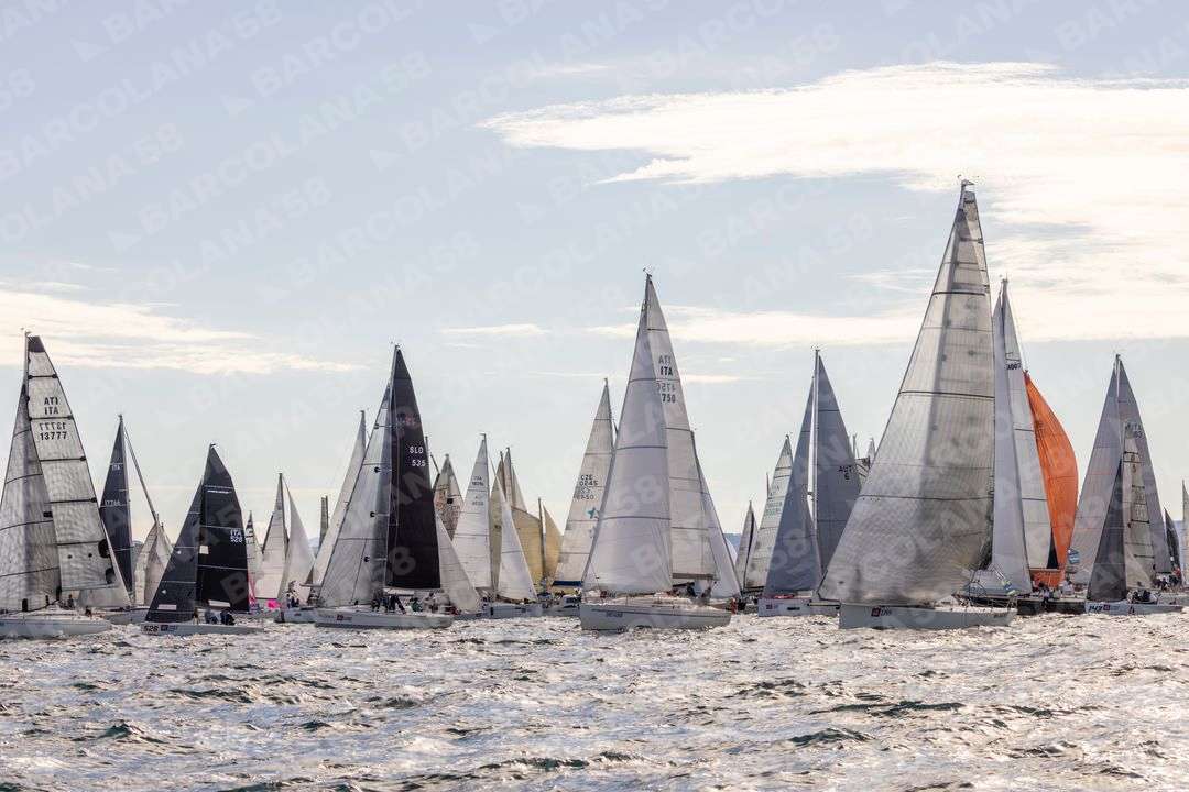 Mascone n° 1768, 0629, 1237, 1480, 1327, 1454, 1450, 0419