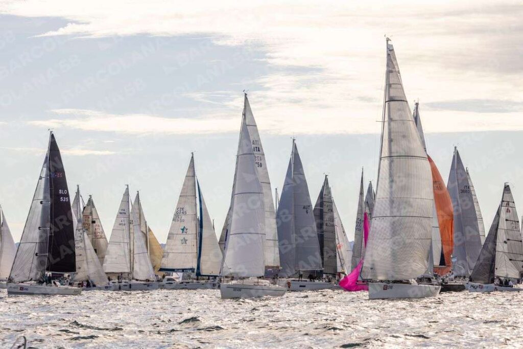 Mascone n° 1768, 1480, 0006, 1237, 1450, 0419, 1454