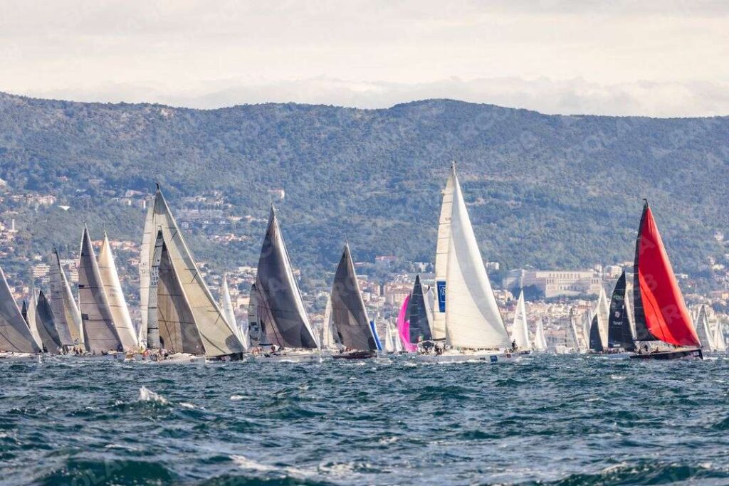 Mascone n° 1491, 0605, 0165, 1542, 0139, 0414, 0099, 0018