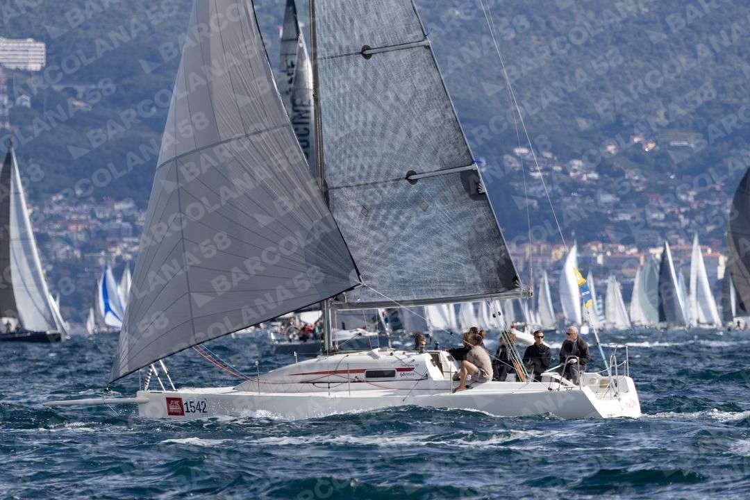 Mascone n° 1542