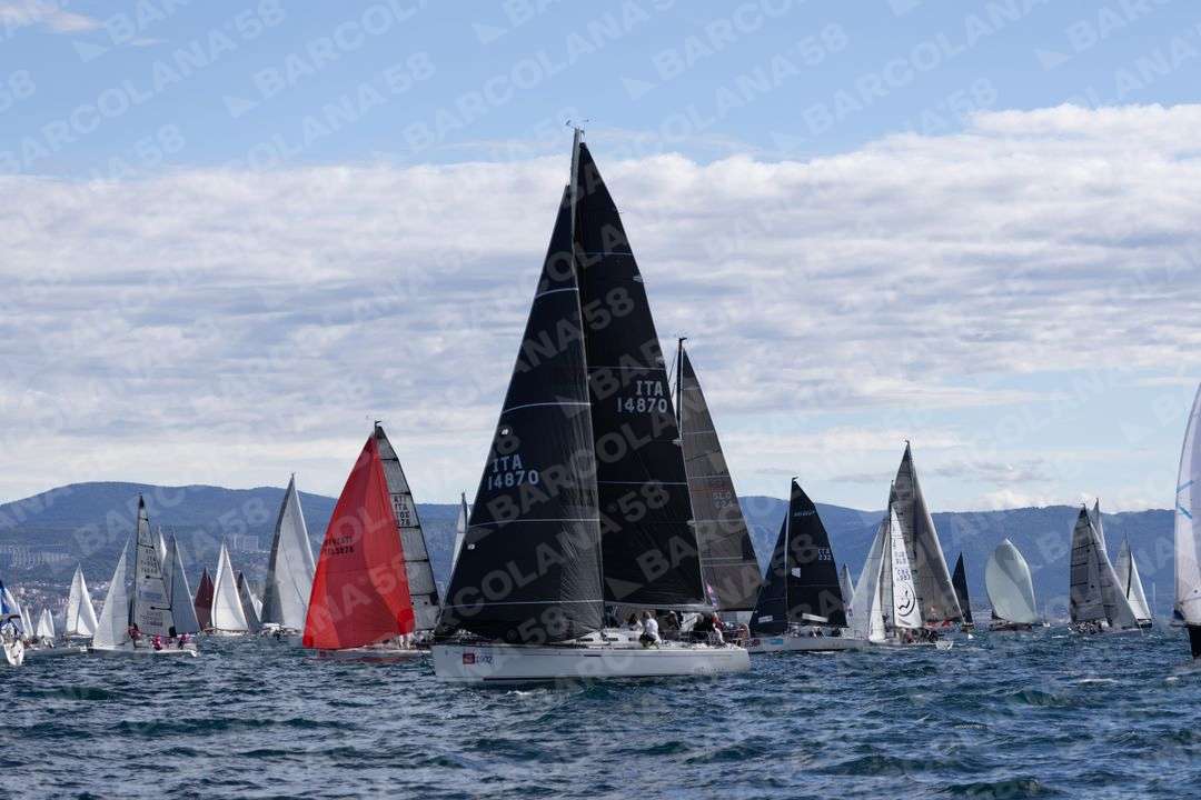 Mascone n° 1902, 1206, 0977, 1352