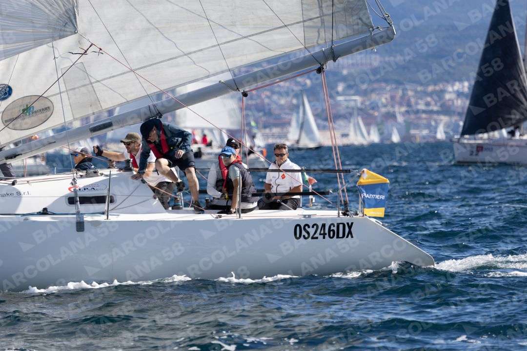 Mascone n° 1291 - immagine 1