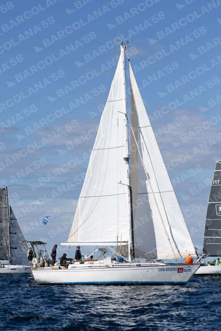 Mascone n° 1695, 1439