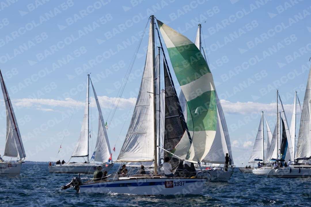 Mascone n° 1937, 1487