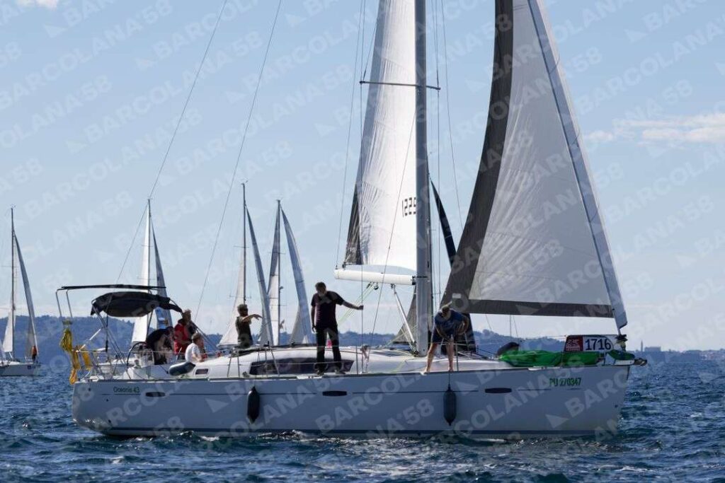 Mascone n° 1716