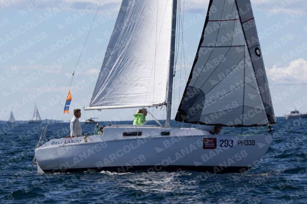 Mascone n° 0293