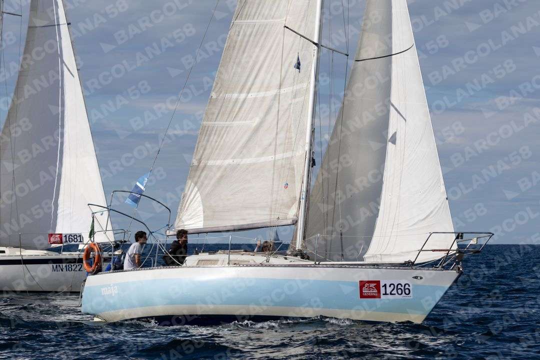 Mascone n° 1266, 1681 - immagine 1