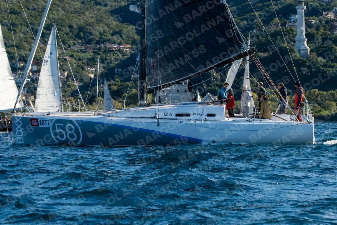 Mascone n° 1677