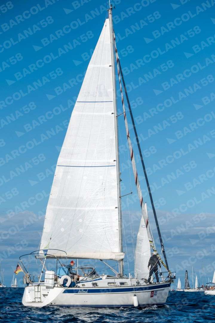 Mascone n° 0421 - immagine 1