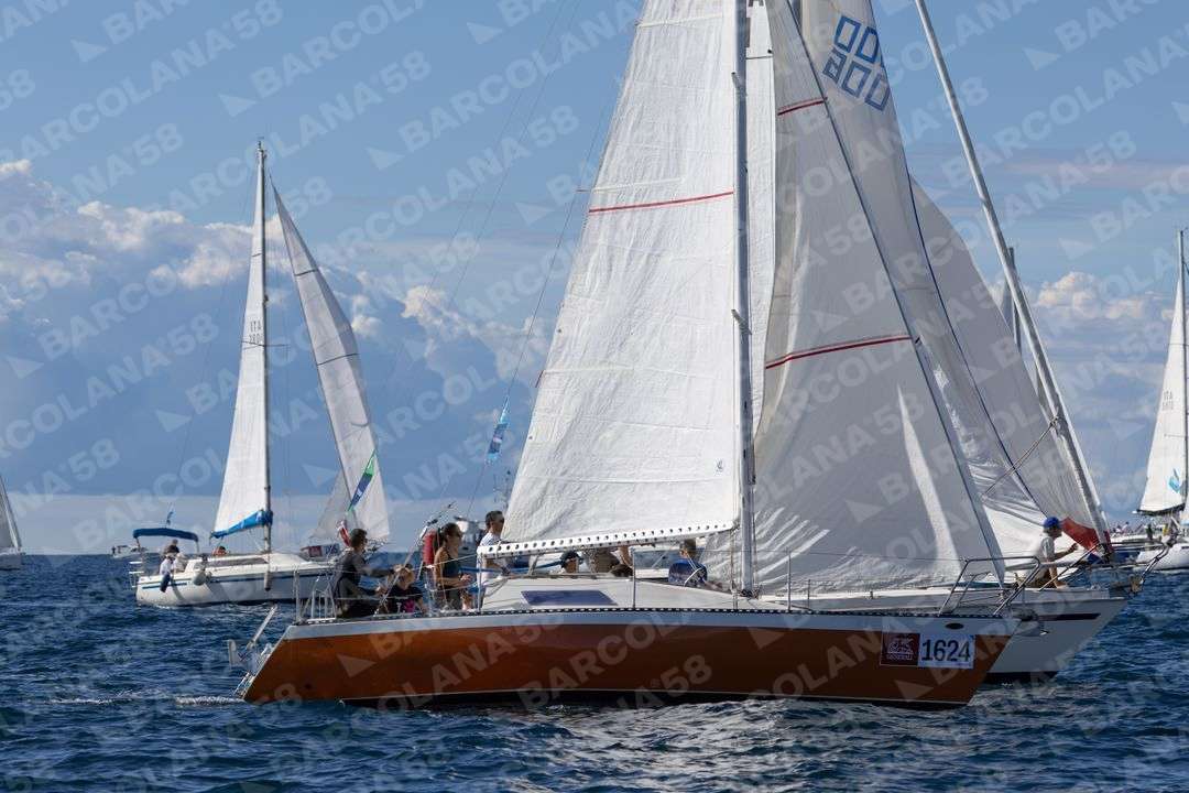 Mascone n° 1624, 0785, 0251