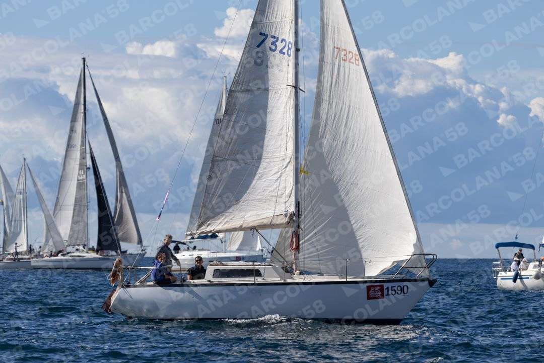 Mascone n° 1590, 0662, 1381 - immagine 1