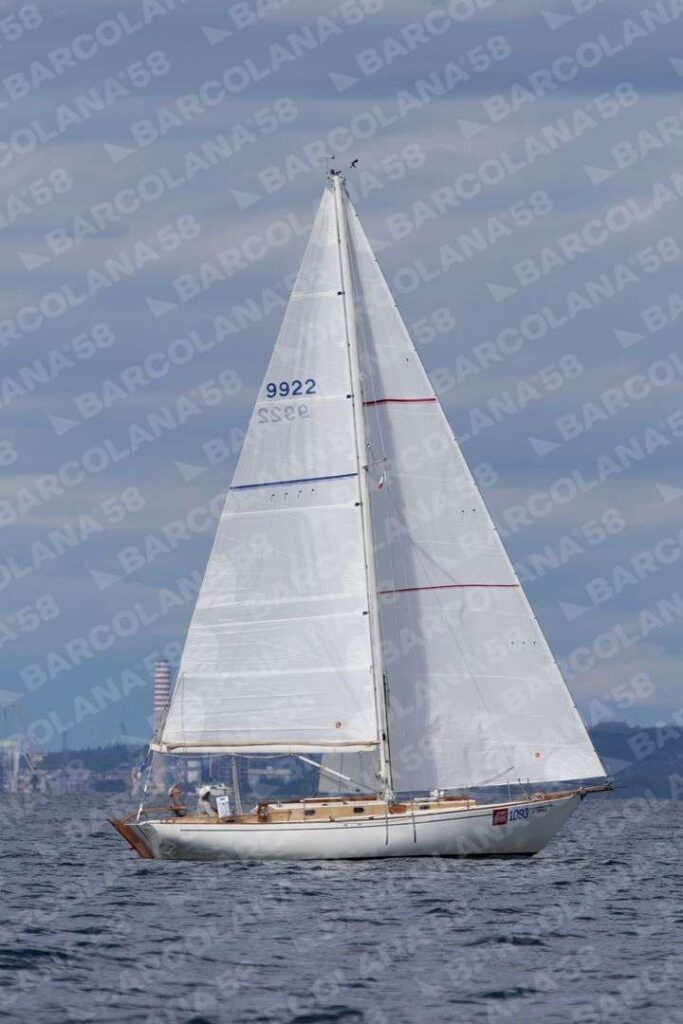 Mascone n° 1093