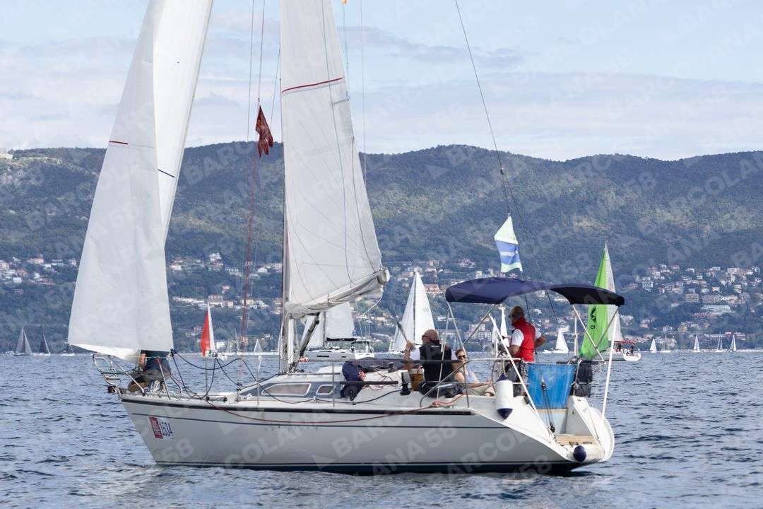 Mascone n° 1534