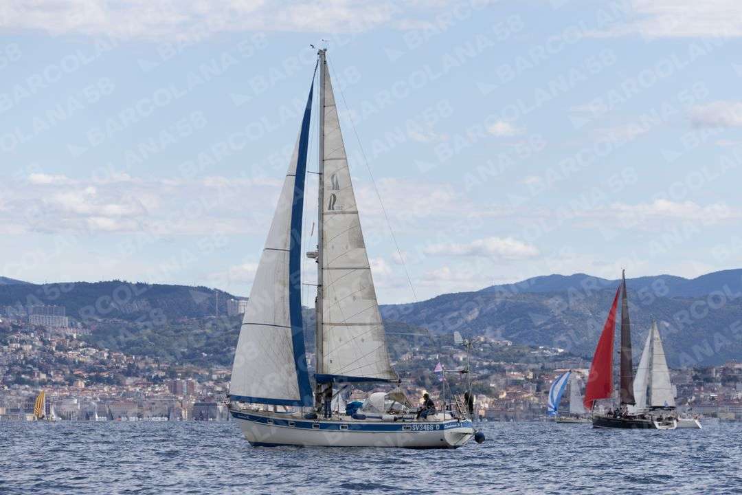 Mascone n° 0390