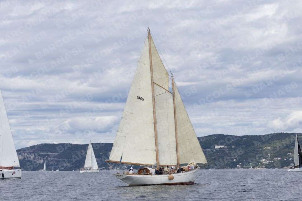 Mascone n° 0132