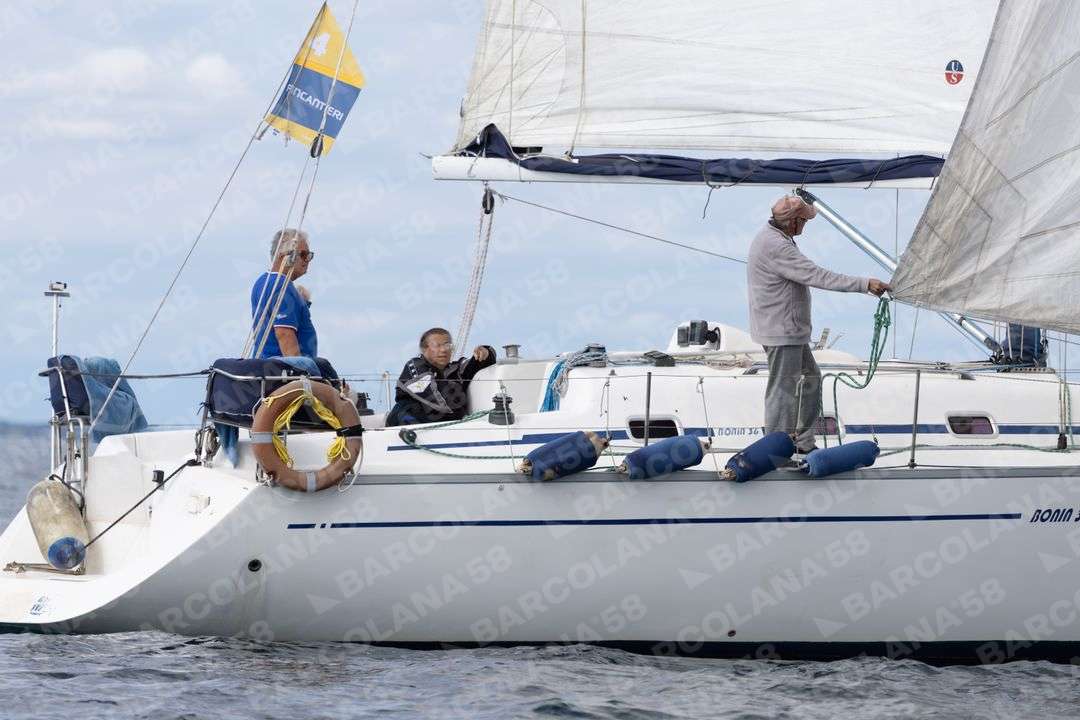 Mascone n° 1405