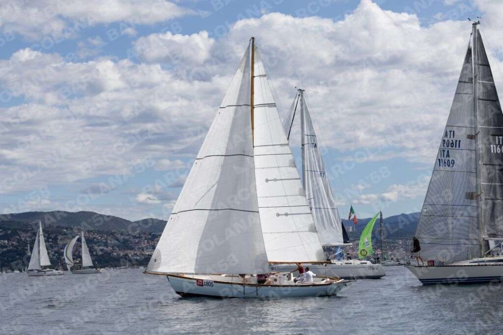 Mascone n° 1805, 1658