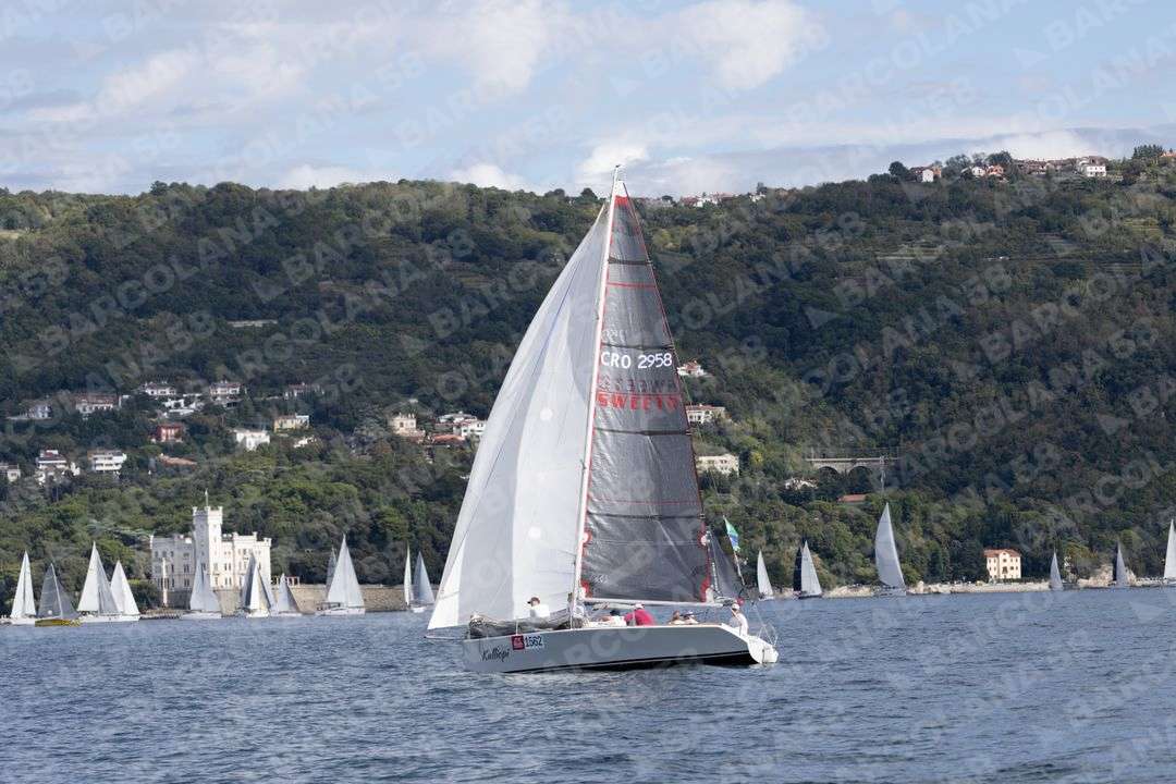 Mascone n° 1562