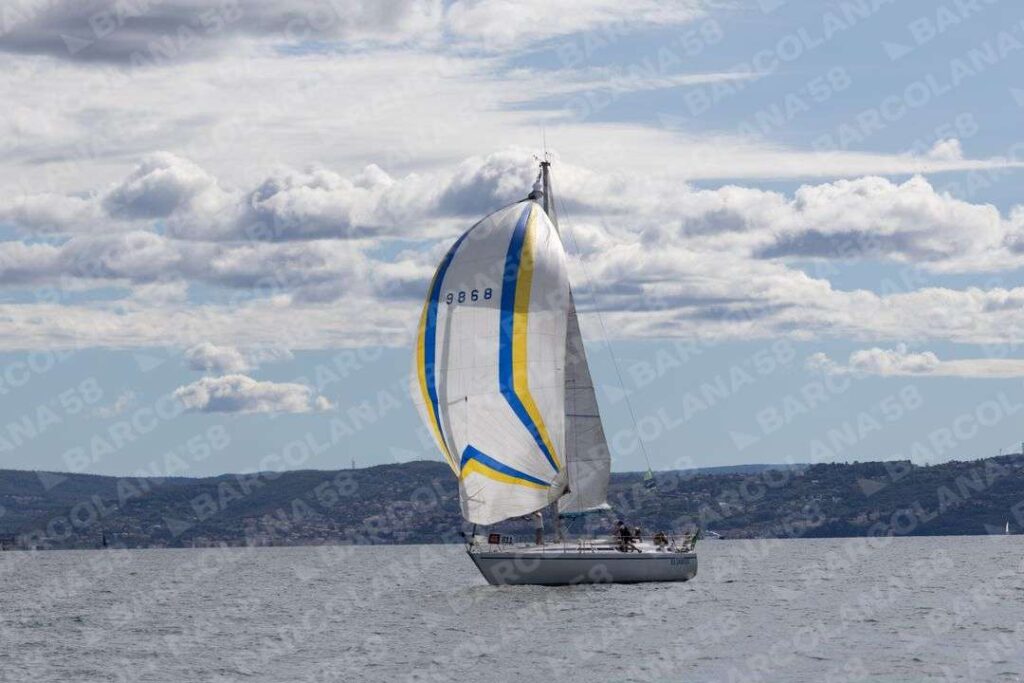 Mascone n° 0811