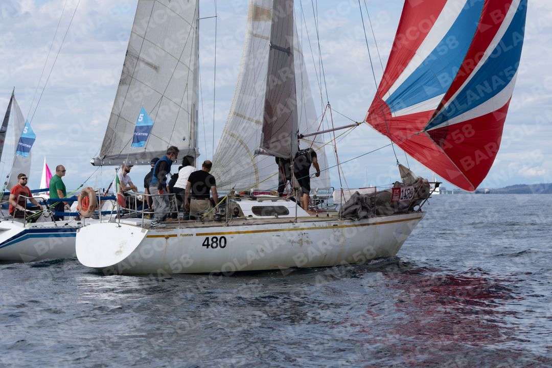 Mascone n° 1489