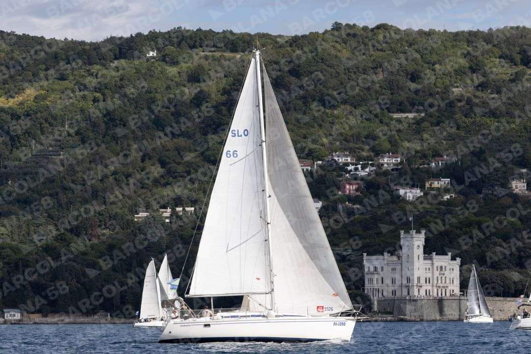Mascone n° 1526