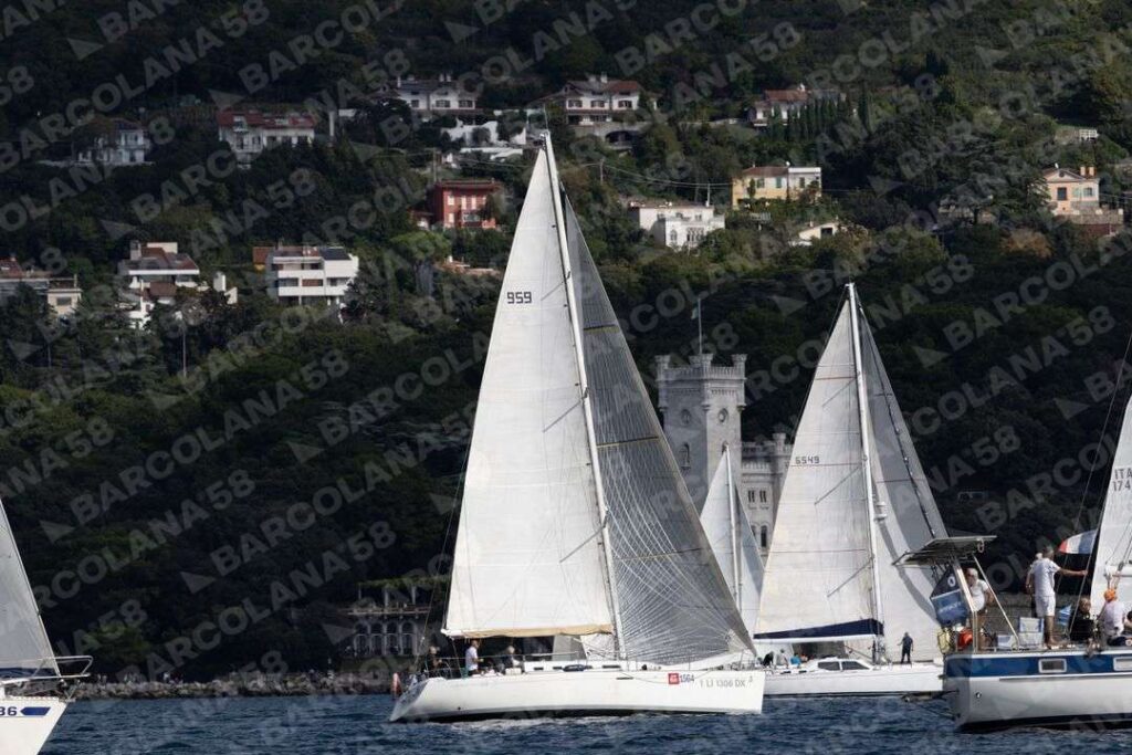 Mascone n° 1564, 0174