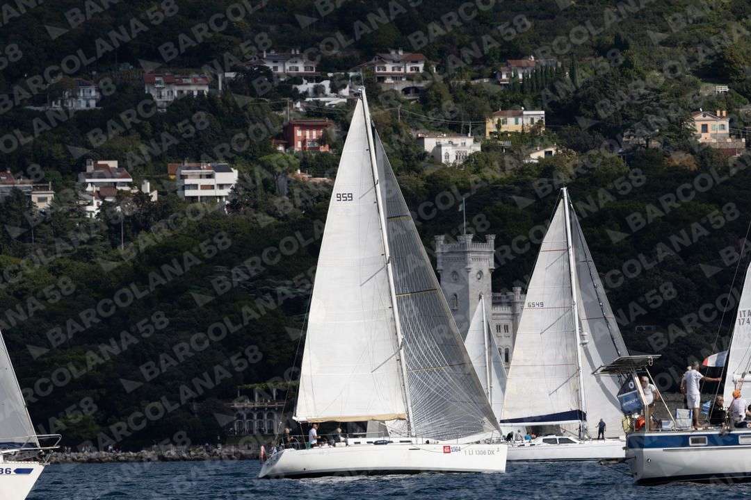 Mascone n° 1564, 0174 - immagine 1