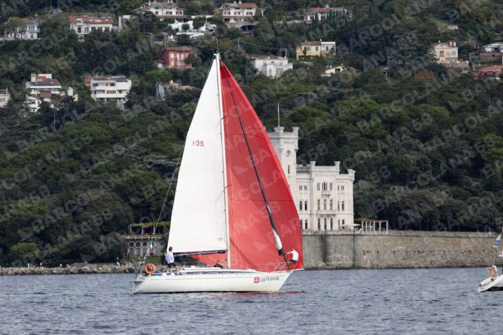 Mascone n° 1336