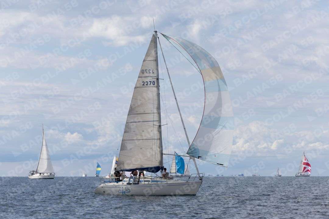 Mascone n° 1254