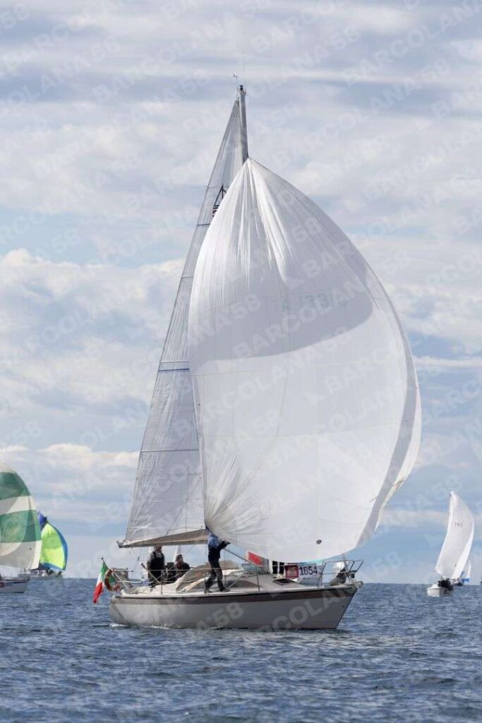 Mascone n° 1654