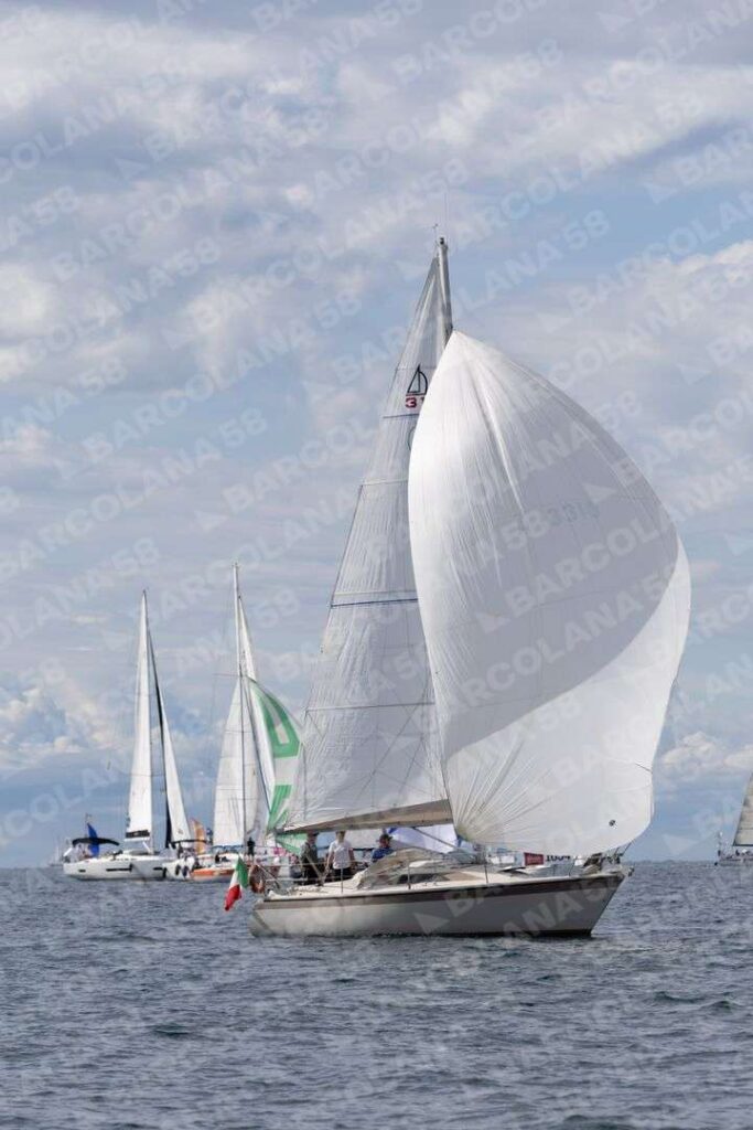 Mascone n° 1654