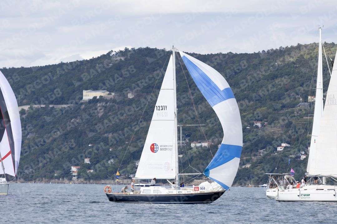 Mascone n° 0964 - immagine 1