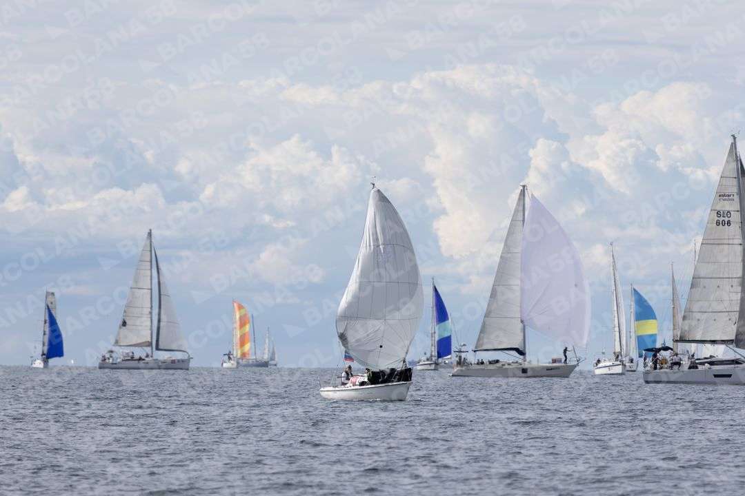 Mascone n° 1937, 0974, 0271, 1113